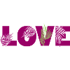 Love Palm