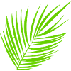 Palmwedel rechts kurz