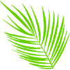 Palmwedel links kurz