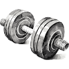 Dumbbell Bodybuilding