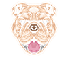 Pitbull Pitbull Ban