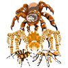 Tarantula Tarantula Arachnid Gift Spider