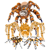Tarantula Arachnid Tarantula Gift Spider