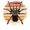 Retro tarantula tarantula spider