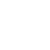 Boxer Definition