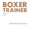 Boxer Trainer Definiton