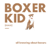 Boxer Kid Definition