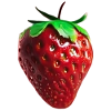 Pretty Red Strawberry