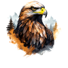 Kultakotka Kotka Falconer Hunter Wilderness Valkohäntäkotka