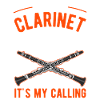 Clarinettes Amateur Clarinettiste Clarinettiste