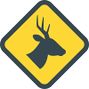 Warning deer