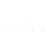 Voiture télécommandée RC Car