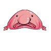 Blob fish