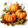 Gourds