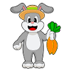 Rabbit Farmer Carrot Vegetable