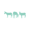Donkey Lover Gifts