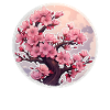 Cherry blossom tree