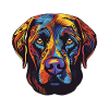 Labrador Dog Portrait
