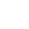 Boxer Us Flag