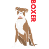 Boxer Us Flag