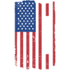 Boxer Us Flag