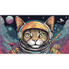 space cat