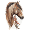 Cavallo tribale acquerello cavallo acchiappasogni