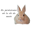 Lapin , La persévérance Chez