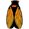 Cicada