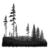 Vaste forêt