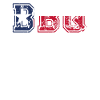 Texas American grill