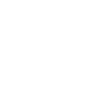 Texas cattle