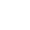 Aiden