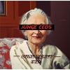 JUNGE CEOS