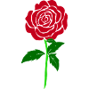 Disegni di rose minimaliste, merch di rose rosse
