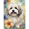 Chien havanais mignon à l’aquarelle