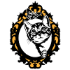 Bébé chat