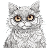 Chat Ojon