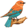 Fantasy bird