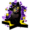 Black Star Wizard Kitten