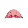 Blob fish