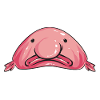 Blob fish