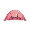 Blob fish