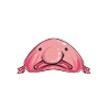 Blob fish