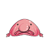 Blob fish