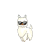 Alpaka