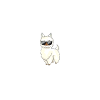 Alpaka