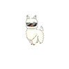 Alpaka