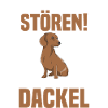 Hund Dackel
