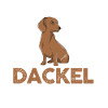 Hund Dackel